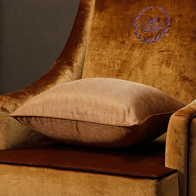 Decorative Throw Cushion Case Decorative Throw Cushion Case